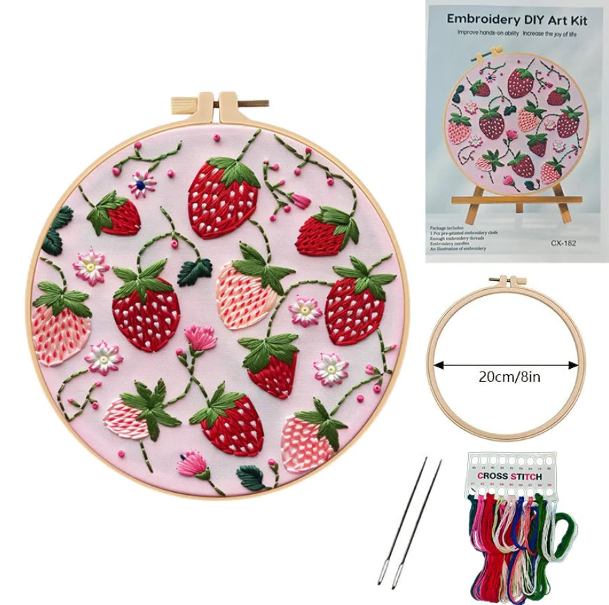 Strawberry Pattern Embroidery Starter DIY Kit